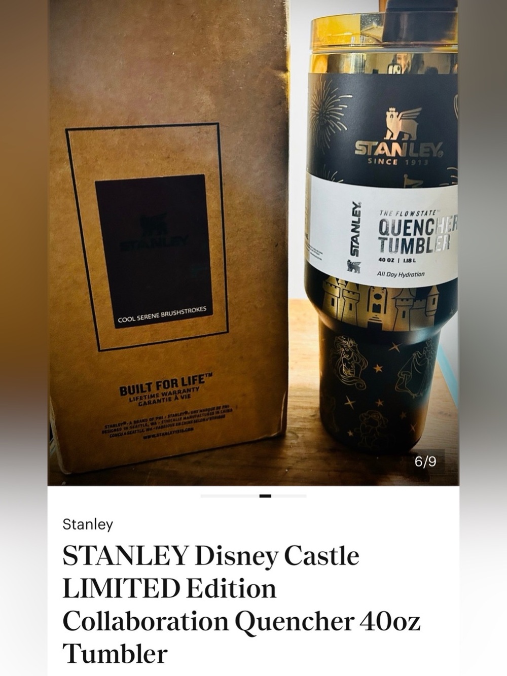 STANLEY Disney Castle LIMITED Edition Collaboration Quencher 40oz Tumbler